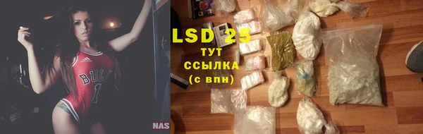 ГАЛЛЮЦИНОГЕННЫЕ ГРИБЫ Белокуриха