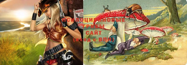 ГАЛЛЮЦИНОГЕННЫЕ ГРИБЫ Белокуриха