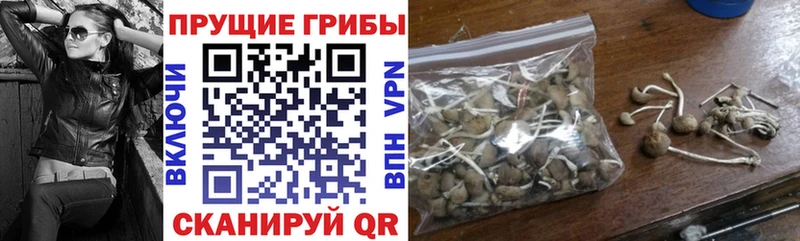 Галлюциногенные грибы Magic Shrooms  магазин  наркотиков  Болхов 
