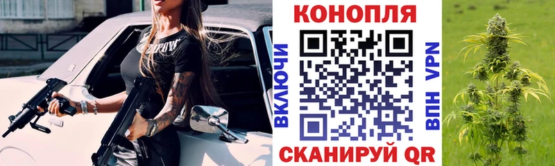 Каннабис сатива  купить наркотик  Болхов 